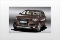 2010 Audi Q7